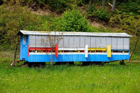 Bee cart
