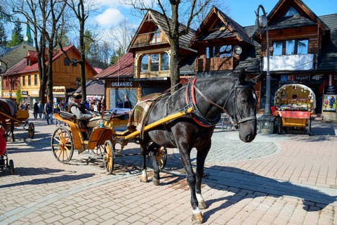 Horse-drawn carriage in the pedestrian zone and promenade Krupowki