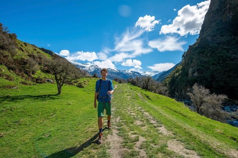 Hiker on trail to Rob Roy Glacier