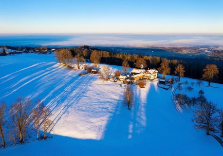 Winter morning