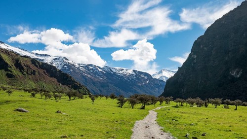 Hiking trail to Rob Roy Glacier
