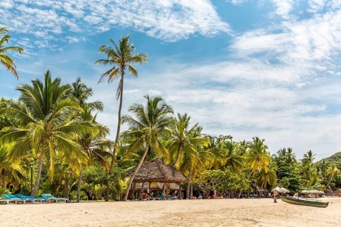 Sandy beach beach with palm trees