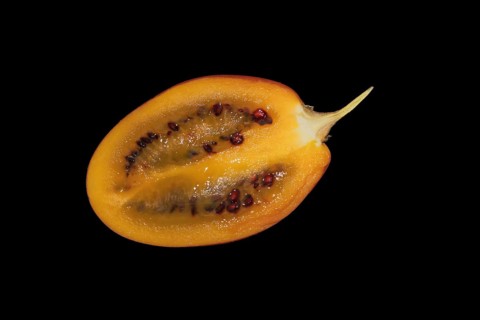 Tamarillo