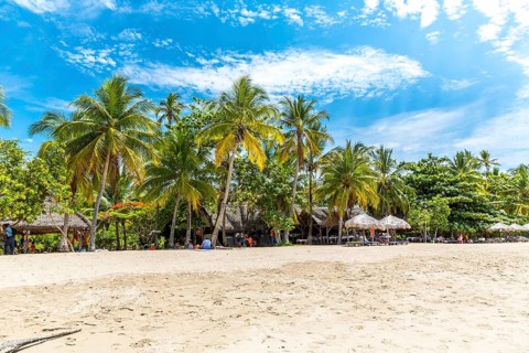 Sandy beach beach with palm trees