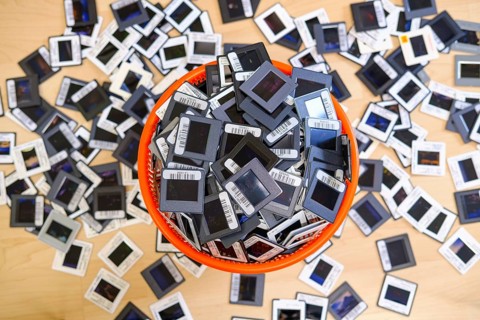 Framed 35mm slides in overflowing wastepaper basket and on floor