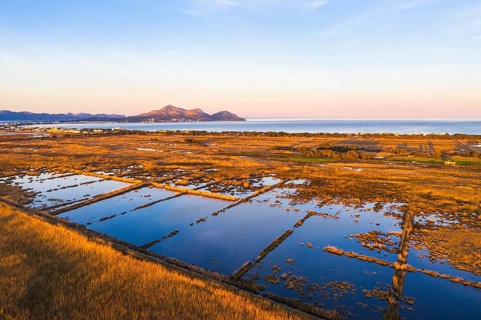 Wetland