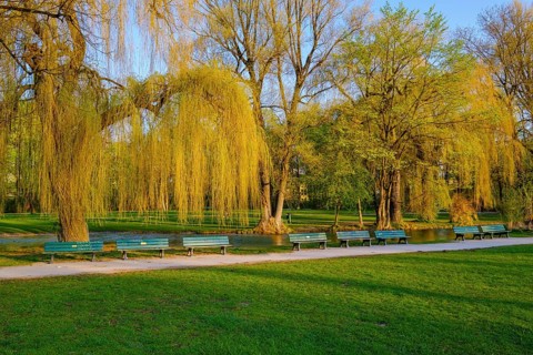 Deserted park benches at the Schwabinger Bach