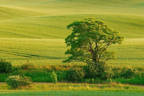 Hilly landscape in the evening light