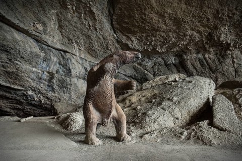 Reproduction of a prehistoric mylodon