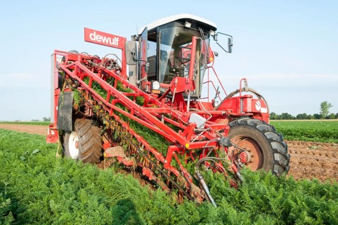 Harvester for carrots