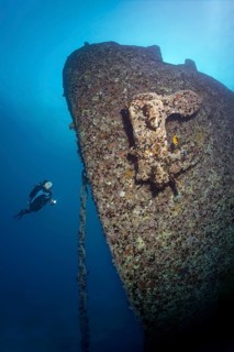 Diver viewing bow