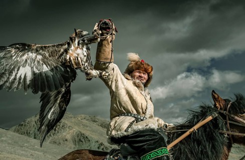 Mongolian eagle hunter