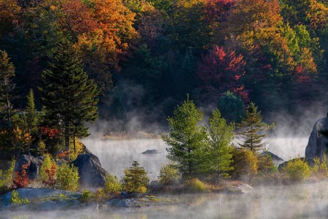 Early morning mist on lake in Autumn