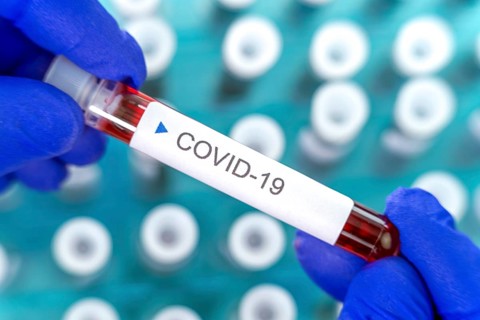 Hand holding blood test tube