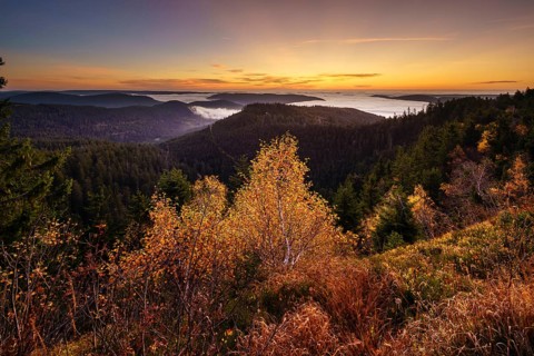 Autumnal dawn on the Hornisgrinde