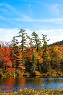 Baker Pond in autumn