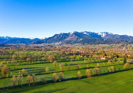 Hedge landscape in the Isar valley between Gaissach and Arzbach