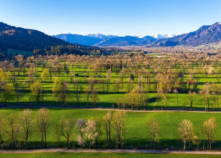 Hedge landscape in the Isar valley near Gaissach
