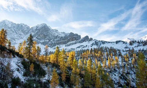 Snow-covered Lamsenspitze