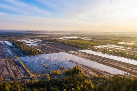 Wet peat extraction area