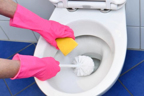 Person with rubber gloves cleans toilet with brush