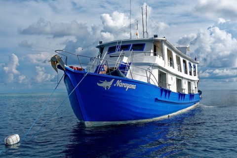 Narayana liveaboard ship