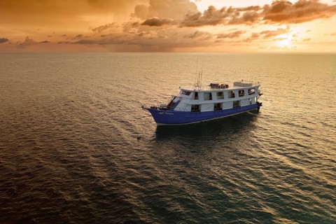 Narayana liveaboard ship