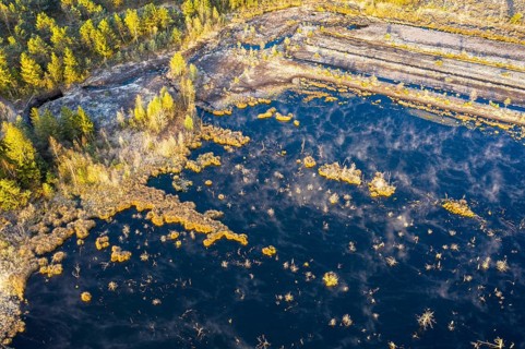 Wet peat extraction area