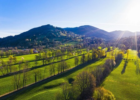 Hedge landscape in the Isar valley near Gaissach