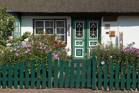 Thatched house in summer
