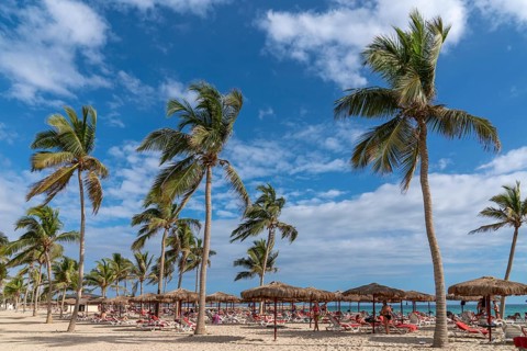 Bathers on the beach with palm trees
