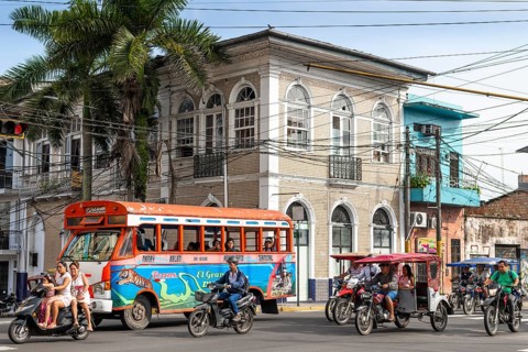 Bus