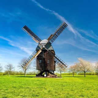 Buck Windmill Bechstedtstrass