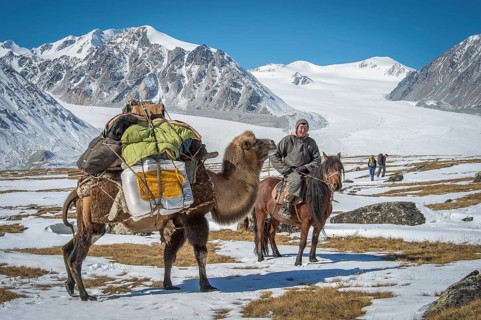 Mongolian shepherd on horseback with a clumsy animal with luggage takes two tourists to the Mongolian Altai Mountains
