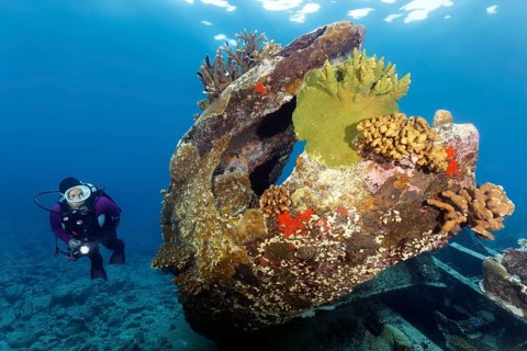 Diver viewing Malaysian shipwreck