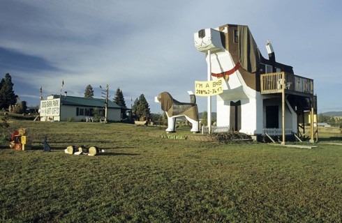 Dog Bark Park