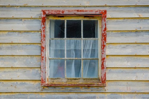 Weathered wooden facade with window, Saunders Island