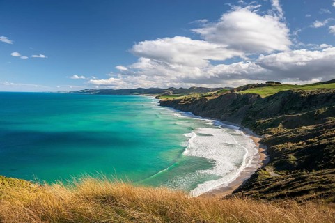 Castlepoint coastline, hilly landscape