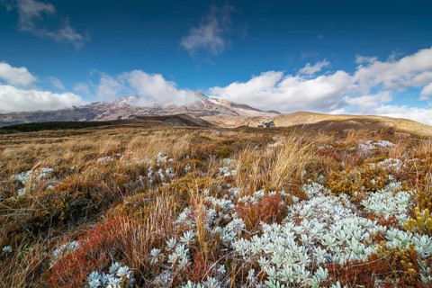 Volcano Mount Ngauruhoe, Tongariro National Park