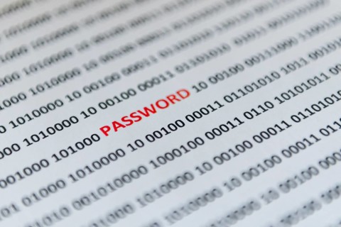 Binary code with the word Password, Password
