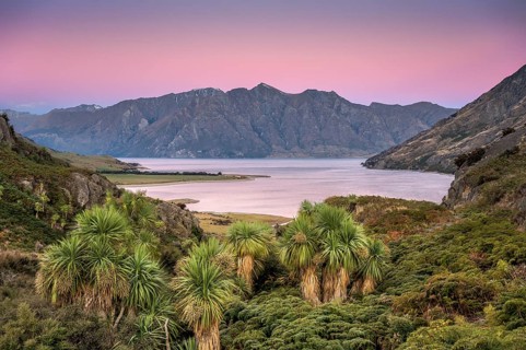 Subtropical palm plants and ferns at Lake Hawea, mountain range at sunset