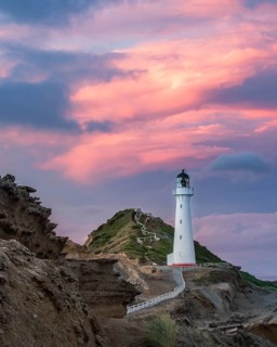 Lighthouse in the evening light under a pink cloudy sky on the cliffs at Castlepoint, Lavafels