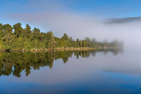 Subtropical forest under blue sky with fog, reflected in the Okarito Lagoon