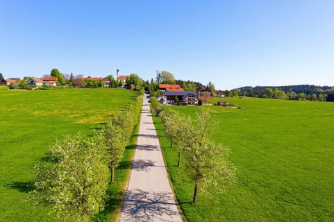 Pear tree avenue and village Berg near Eurasburg, drone picture