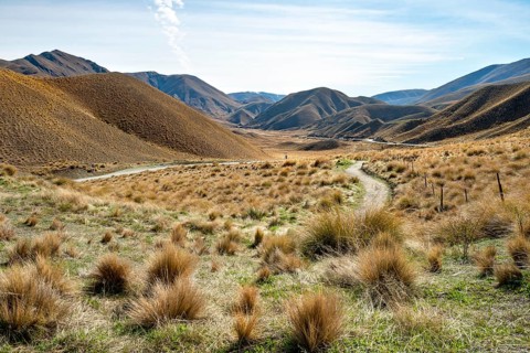Barren mountain landscape with tufts of grass, Lindis Pass