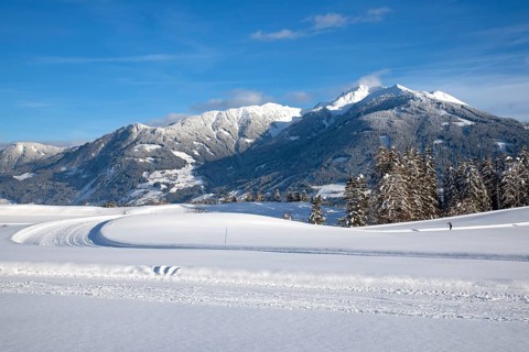 Cross-country ski run, behind the Kellerjoch
