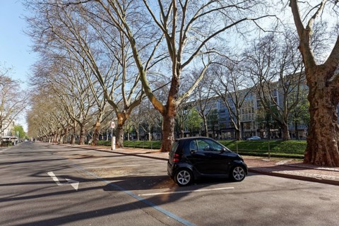 Single Smart and many free parking spaces on Koenigsallee, lockdown due to corona pandemic