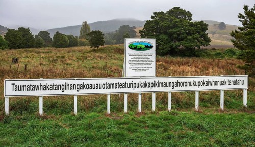 Shield with long name of the hill Taumatawhakatangihangakoauauotamateaturipukakapikimaungahoronukupokaiwhenuakitanatahu, Porangahau