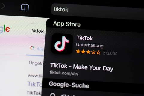 TikTok App in the Apple App Store, social network