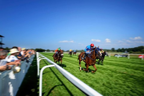 Jockey on racehorse